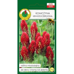 Koniczyna kriwstoczerwona   10 g